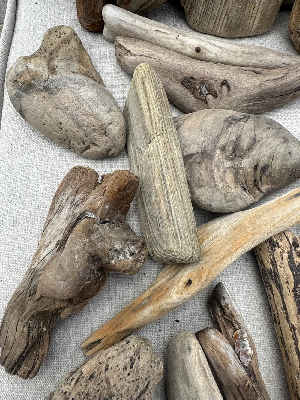 34 Pc (5lbs shipped) Box of beach Natural Driftwood Pieces for craft or decor